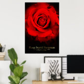 Rosa Ingrid Bergman : Affiche (Bureau à domicile)