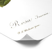 Rosa intermis poster (Hoek)