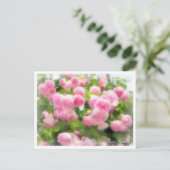 Rosa Jasmina Briefkaart (Staand voorkant)