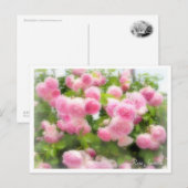 Rosa Jasmina Briefkaart (Voorkant / Achterkant)
