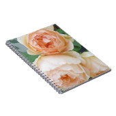 Rosa "Jude the Obscure" Notitieboek (Rechterzijde)