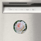 Rosa "L" hiver Magneet (Insitu (Vaatwasser))