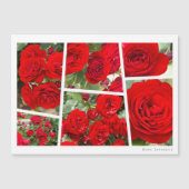 Rosa Lavaglut (Voorkant)