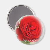 Rosa Lavaglut Magneet (Voorkant / Achterkant)