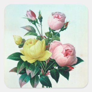 Rosa Lutea en Rosa Indica Vierkante Sticker