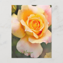 Rosa "Manyo" (Briefkaart) Briefkaart