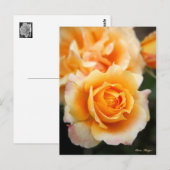 Rosa "Manyo" : Carte postale (Devant / Derrière)