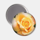Rosa ‘Manyo’：Round Magnet Magneet (Voorkant / Achterkant)