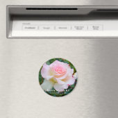 Rosa Matilda Magneet (Insitu (Vaatwasser))