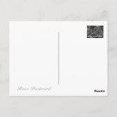 Rosa Mister Lincoln Briefkaart (Achterkant)