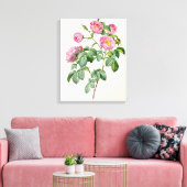 Rosa Mollissima uit 'Les Rozen' Canvas Afdruk (Insitu (Woonkamer))