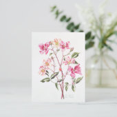 Rosa "Mutabilis" 1996 Briefkaart (Staand voorkant)