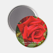Rosa oom Walter Magneet (Voorkant / Achterkant)