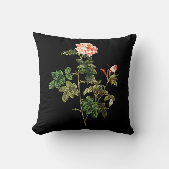 Rosa Orbessanea Worpillow Kussen (Voorkant)