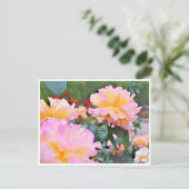 Rosa Peace Briefkaart (Staand voorkant)