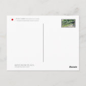 Rosa Peace Briefkaart (Achterkant)