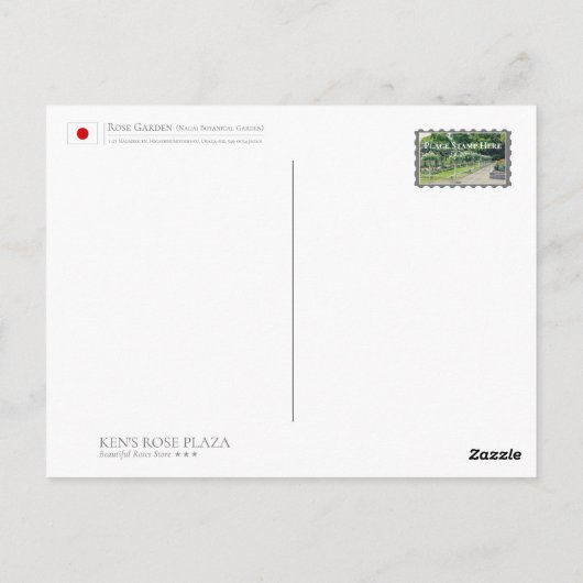 Rosa Peace Briefkaart (Achterkant)