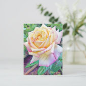 Rosa Peace [Briefkaart] Briefkaart (Staand voorkant)