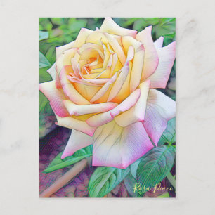 Rosa Peace [Briefkaart] Briefkaart