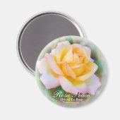 Rosa Peace Magneet (Voorkant / Achterkant)