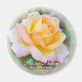 Rosa Peace Magneet (Voorkant)