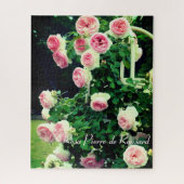 Rosa Pierre de Ronsard : puzzle (520 pièces) (Vertical)