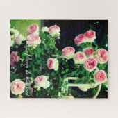 Rosa Pierre de Ronsard : puzzle (520 pièces) (Horizontal)