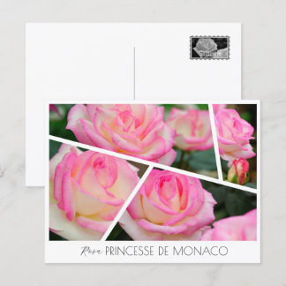 Rosa Princesse de Monaco Briefkaart