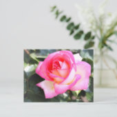 Rosa Princesse de Monaco:Briefkaart Briefkaart (Staand voorkant)