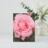 Rosa Queen Elizabeth:Briefkaart Briefkaart (Staand voorkant)