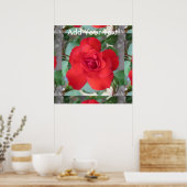 Rosa Roja Flor Poster (Keuken)