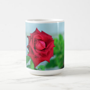 Rosa rouge - tasse photographique florale