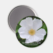 Rosa rugosa magneet (Voorkant / Achterkant)