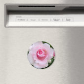 Rosa‘Soshun’:Round Magnet (In Situ (Lave-vaisselle))
