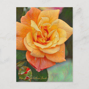 Rosa Souvenir de Anne Frank (Briefkaart) Briefkaart