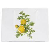 Rosa sulfurea, gele roos van Redouté Groot Cadeauzakje (Voorkant)