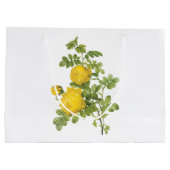 Rosa sulfurea, gele roos van Redouté Groot Cadeauzakje (Achterkant)