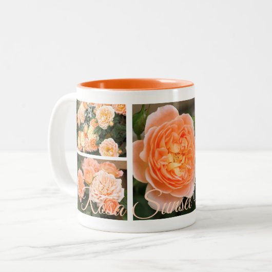 Rosa Sunset Memory:Two‐tone Mug (Devant gauche)