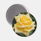 Rosa Toulouse Lautrec Magneet (Voorkant / Achterkant)