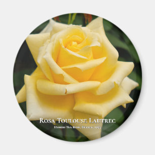 Rosa Toulouse Lautrec Magneet