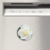 Rosa White Arrow Magneet (Insitu (Vaatwasser))