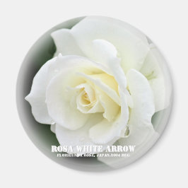 Rosa White Arrow Magneet