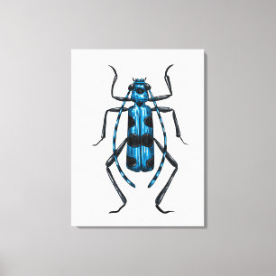 Rosalia Alpina beetle Canvas Afdruk