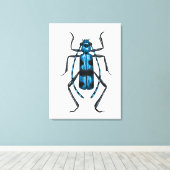 Rosalia Alpina beetle Canvas Afdruk (Insitu (Houten vloer))