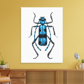 Rosalia Alpina beetle Canvas Afdruk (Insitu (Woonkamer))