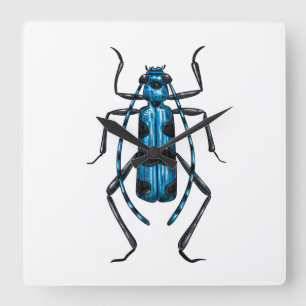 Rosalia Alpina beetle Vierkante Klok