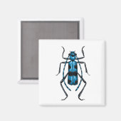 Rosalia Alpina kever Magneet (Voorkant / Achterkant)