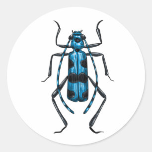 Rosalia Alpina kever Ronde Sticker