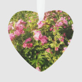 Rosarium en fleurs (devant)