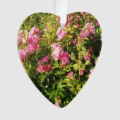 Rosarium en fleurs (devant)
